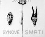 Synové Smrti | Krajina | Wóďa