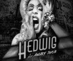 Hedwig a její Angry Inch