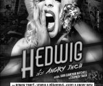 hedwig a jejií angry inch