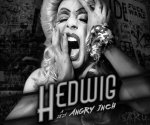 Hedwig a její Angry Inch