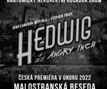 Hedwig a její Angry Inch